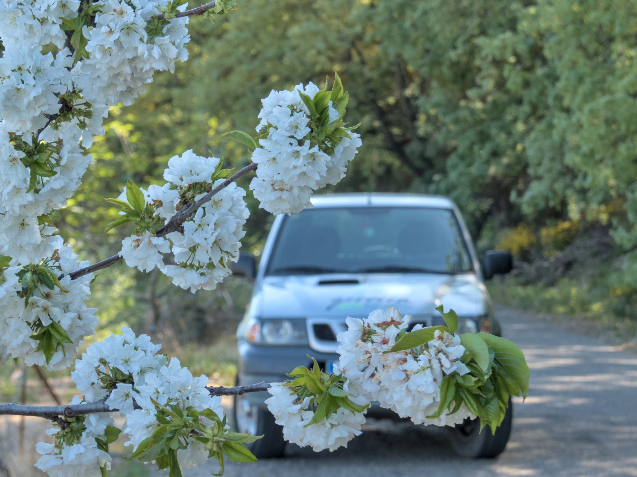Rutas 4x4 Valle del Jerte